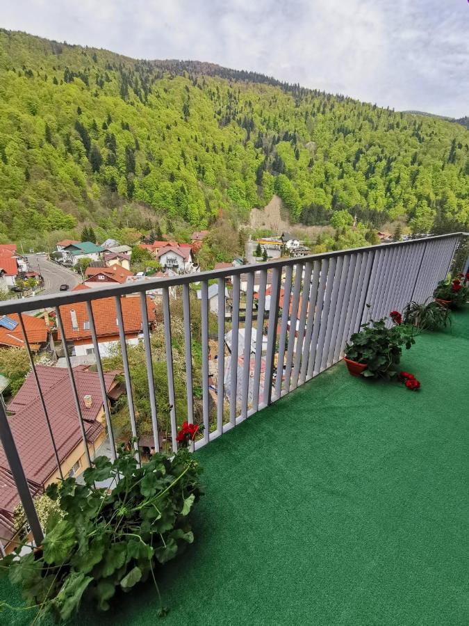 Апартаменты Apartament Panoramic View Синая Экстерьер фото