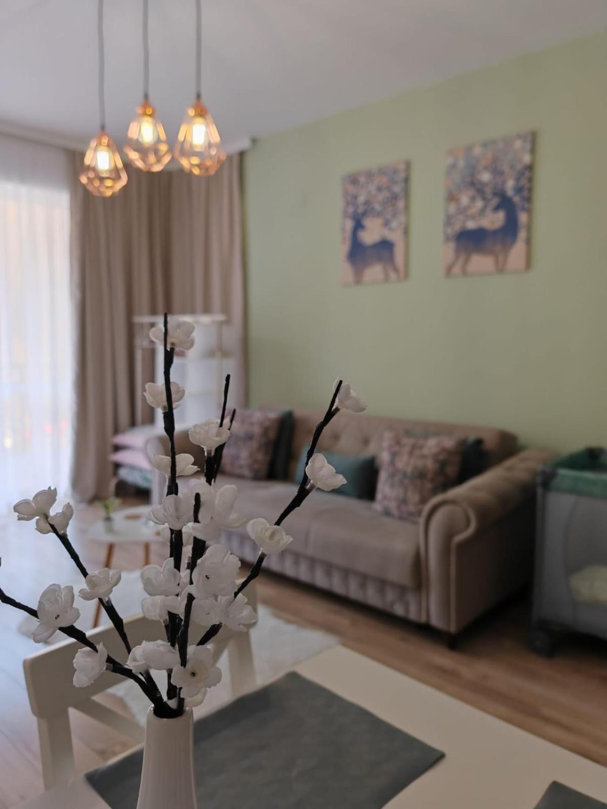 Апартаменты Apartament Panoramic View Синая Экстерьер фото